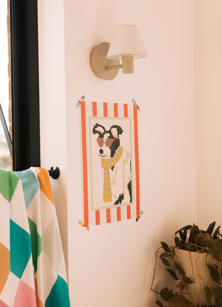 Pôster Infantil - Border Collie