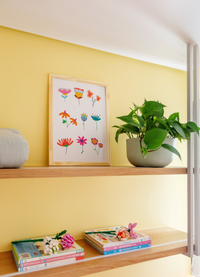 Pôster Infantil - Colecionando Flores