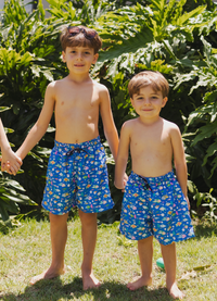 Bermuda Resort - Peixinhos do Oceano