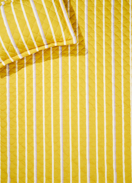 Jogo de Colcha Elástico - Listrado Solar