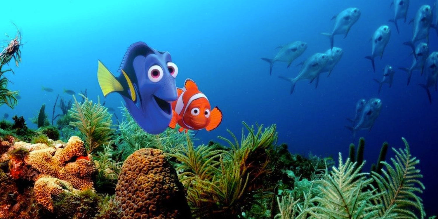Procurando Nemo Nesta emocionante aventura, dois peixinhos, Marlin e Dory, procuram o filho desaparecido de Marlin, Nemo, por todo o mundo submarino. 