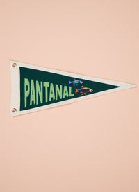 Flâmula - Pantanal
