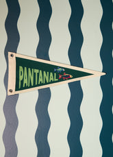 Flâmula - Pantanal