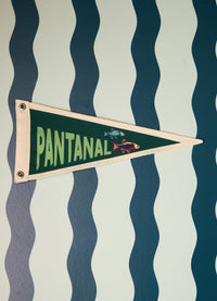 Flâmula - Pantanal