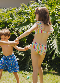 Maiô Natação - Trilha de Cores