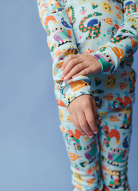 Conjunto Pijama Longo - Dragon