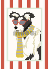 Pôster Infantil - Border Collie