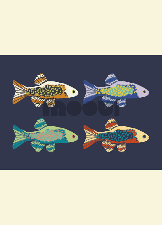 Pôster Infantil - Cardume