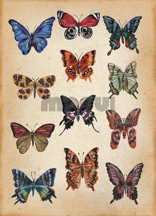 Pôster Infantil - Borboletas Nathalie Lété